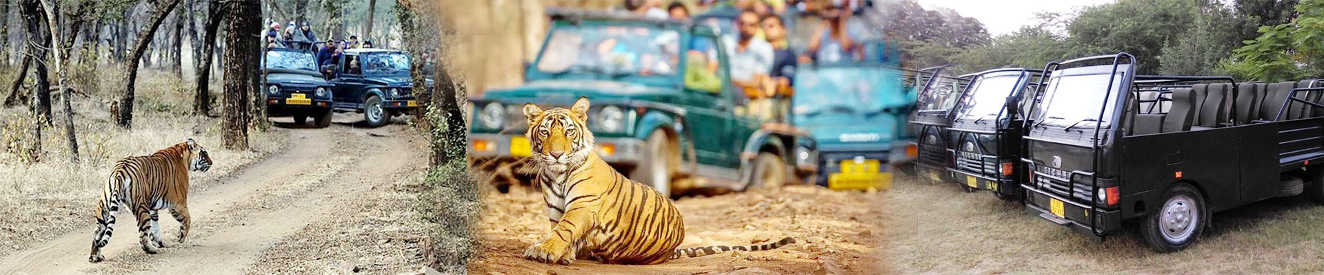 ranthambore-safari-booking